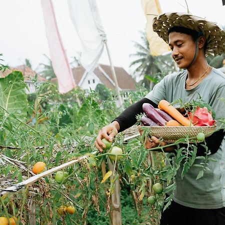 The Rice Joglo Eco-Stay Ubud Esterno foto