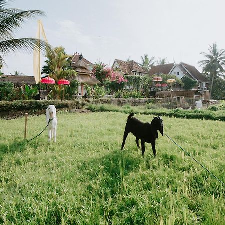 The Rice Joglo Eco-Stay Ubud Esterno foto