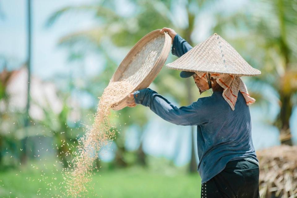 The Rice Joglo Eco-Stay Ubud Esterno foto