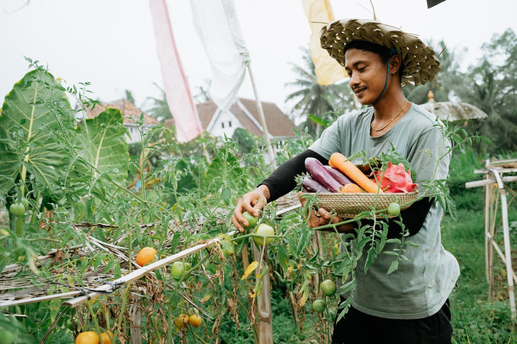 The Rice Joglo Eco-Stay Ubud Esterno foto